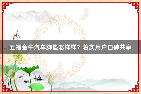 五福金牛汽车脚垫怎样样？着实用户口碑共享